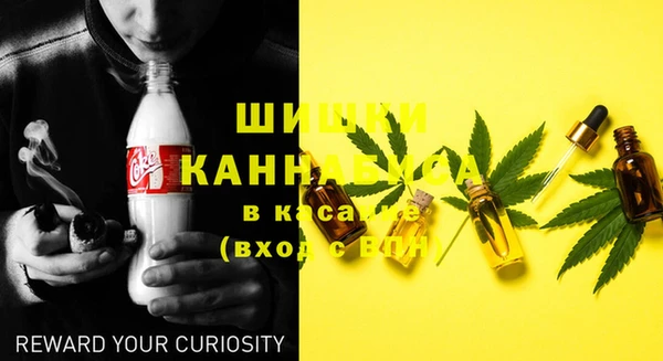 первитин Лабытнанги