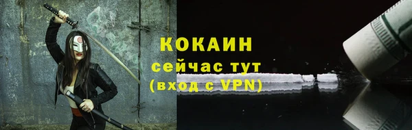дживик Лагань