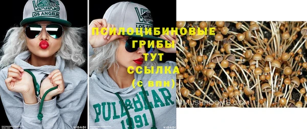 стафф Ладушкин