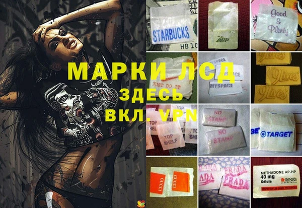 стафф Ладушкин
