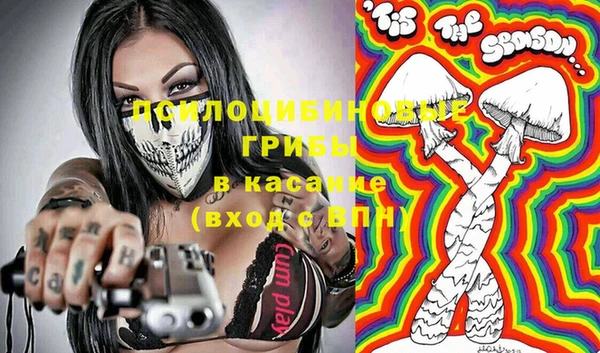 стафф Ладушкин