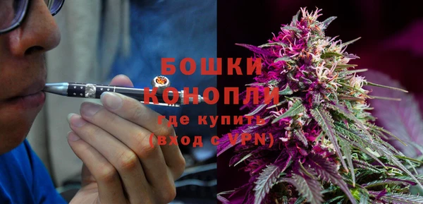 первитин Лабытнанги