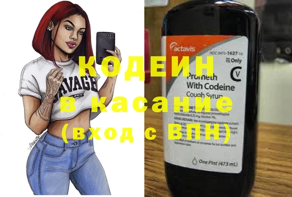 дживик Лагань